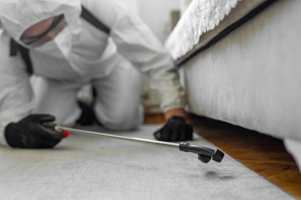 Professional Bed Bug Control technician working in Heritage Lake, IN