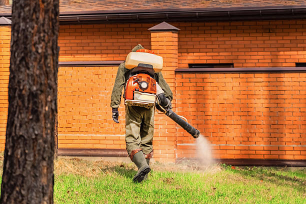 Trusted Termite Control service in Heritage Lake, IN - Nex Pest Control